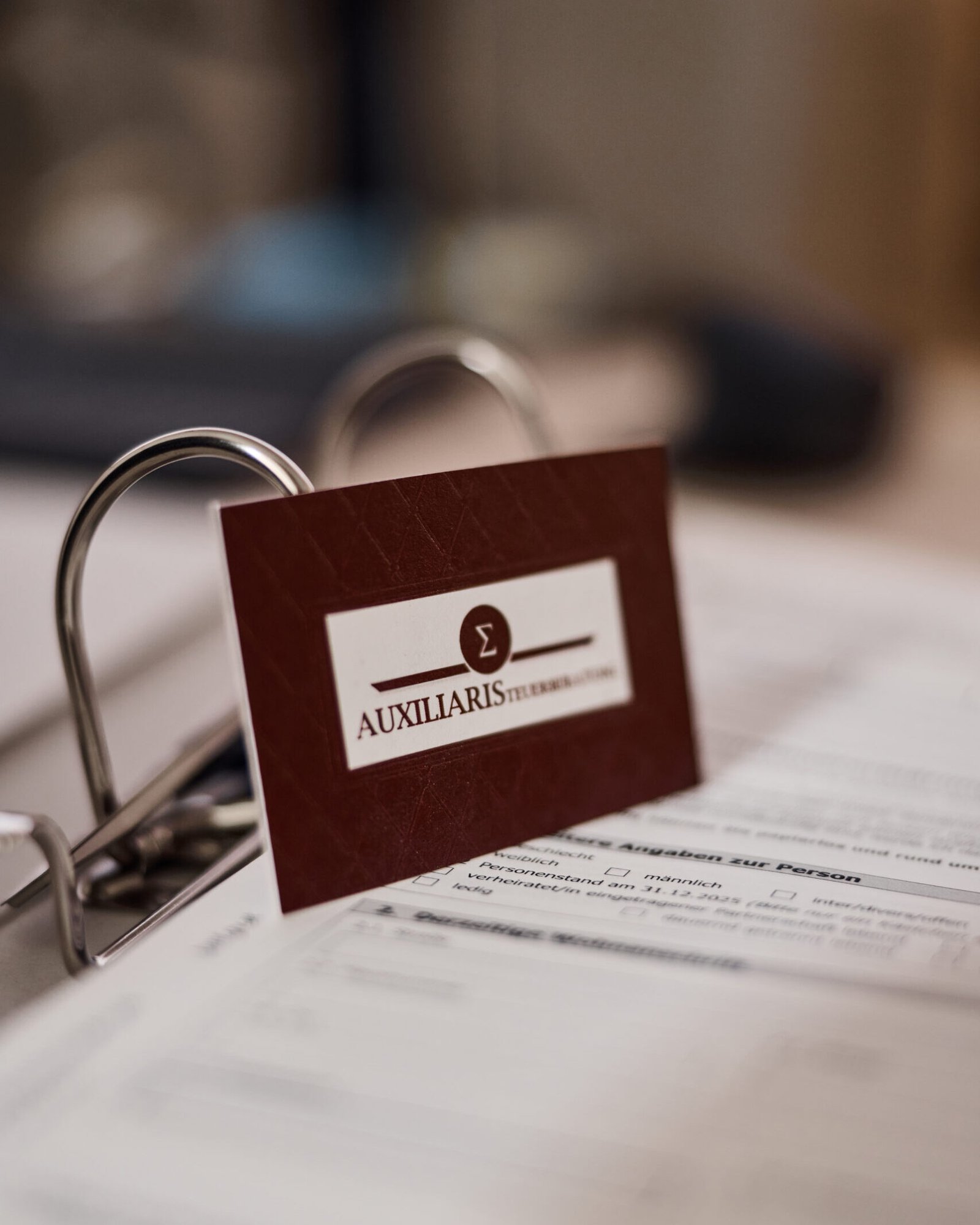 Beratung zu steuerlichen und wirtschaftlichen Belangen durch die Kanzlei Auxiliaris für Unternehmen in Mureck, Bad Radkersburg und Graz.